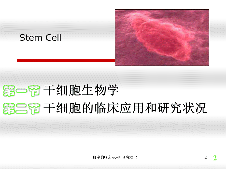 干细胞的临床应用和研究状况课件.ppt_第2页