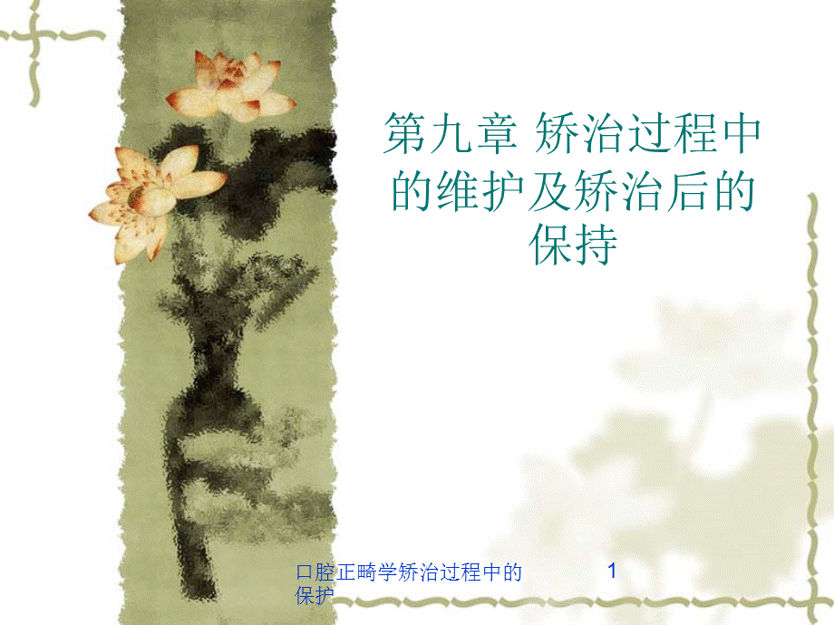 口腔正畸学矫治过程中的保护课件.ppt_第1页