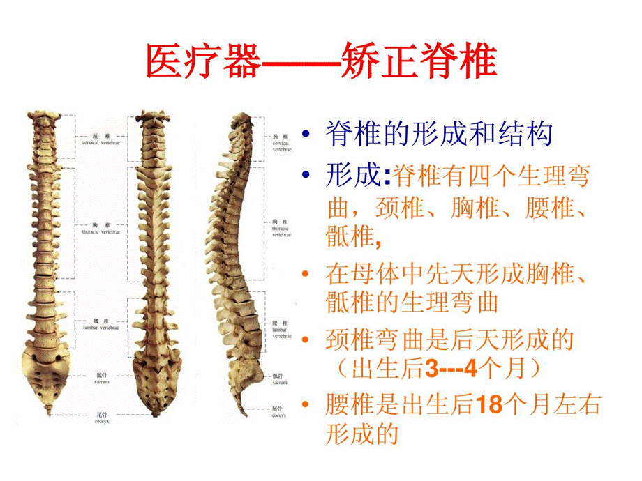 改正脊椎防备医学医药卫生专业资料[新版课件.ppt_第2页