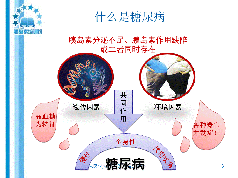 临床医学糖尿病及其治疗策略课件.ppt_第3页