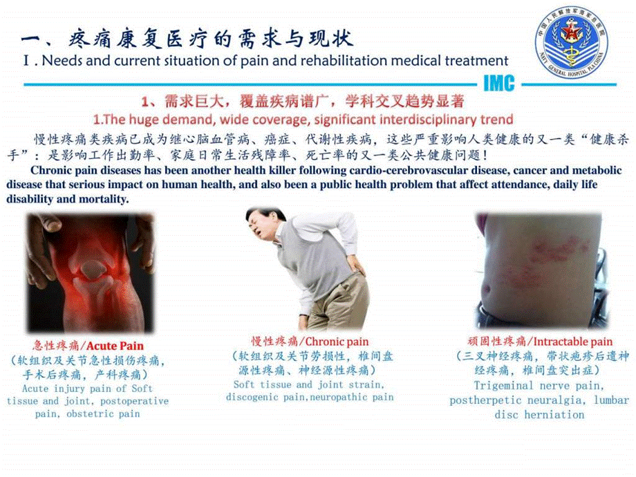 建设中国特色疼痛康复医疗体系的探索与思考课件.ppt_第3页