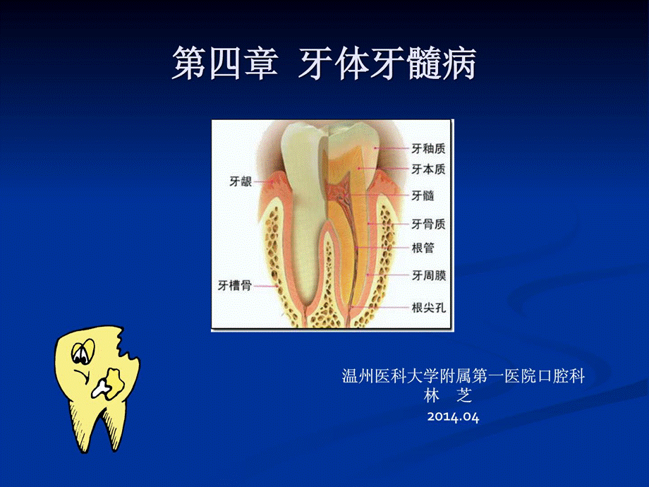 口腔医学牙体牙髓病牙列缺损和缺掉课件.ppt_第1页