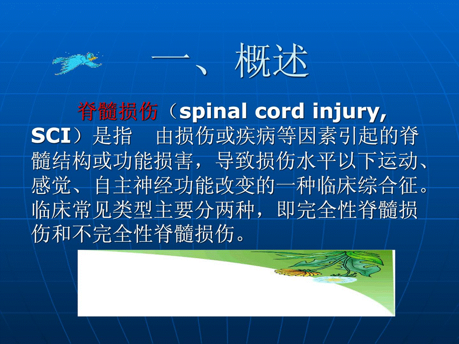 康复护理学罕见疾病的康复护理(脊髓毁伤)[整理版课件.ppt_第3页