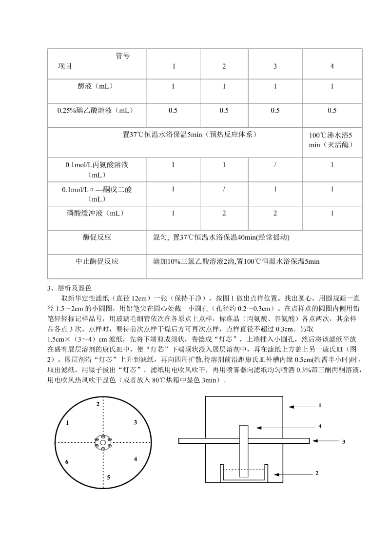 氨基移换反应及其产物鉴定.doc_第3页