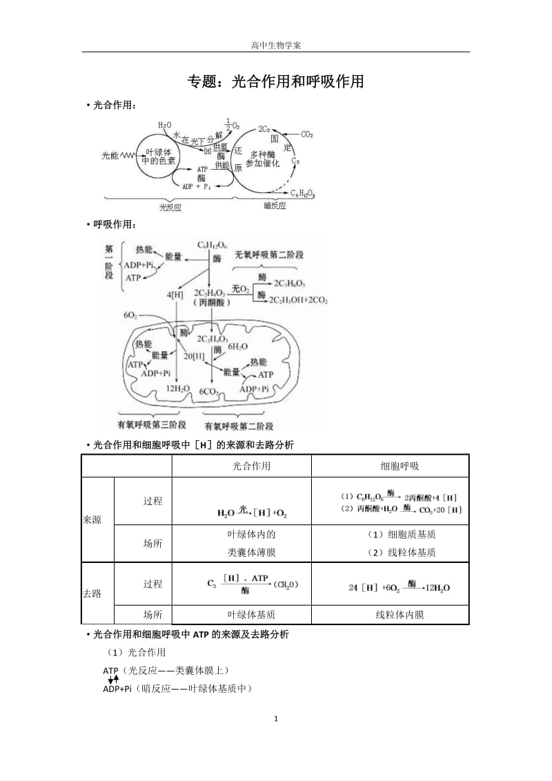 光合作用和呼吸作用复习学案.doc_第1页