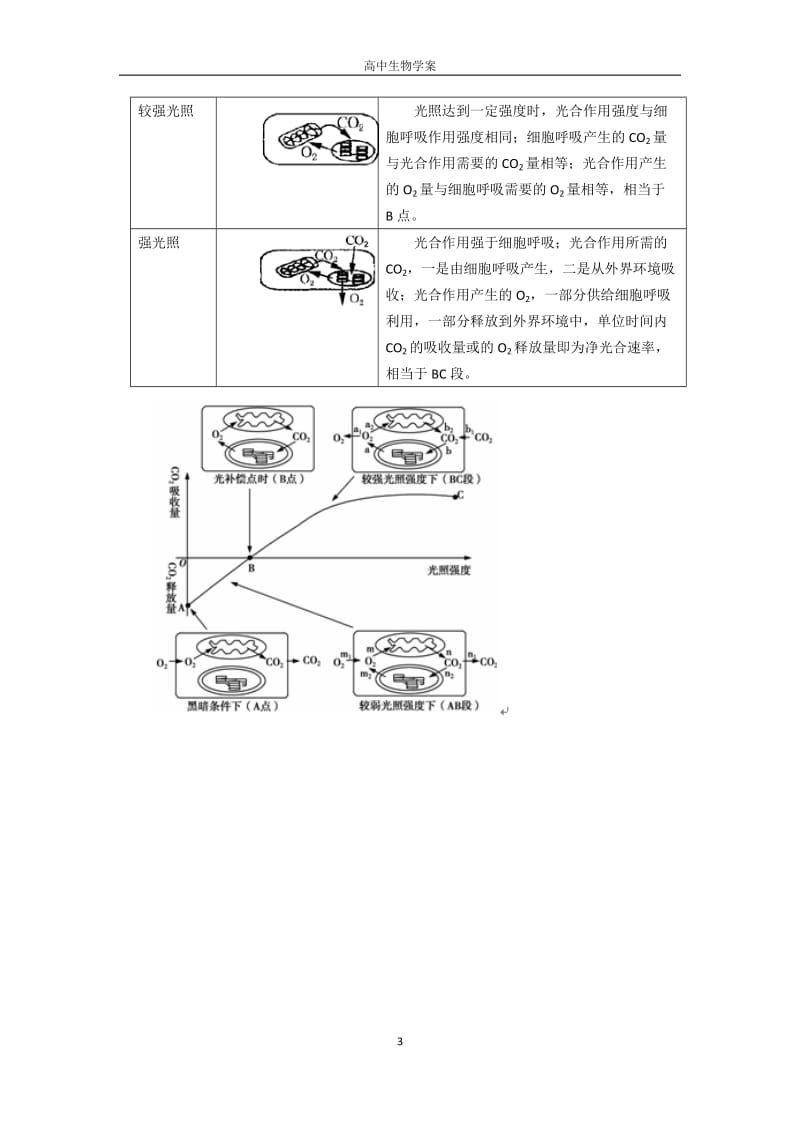 光合作用和呼吸作用复习学案.doc_第3页