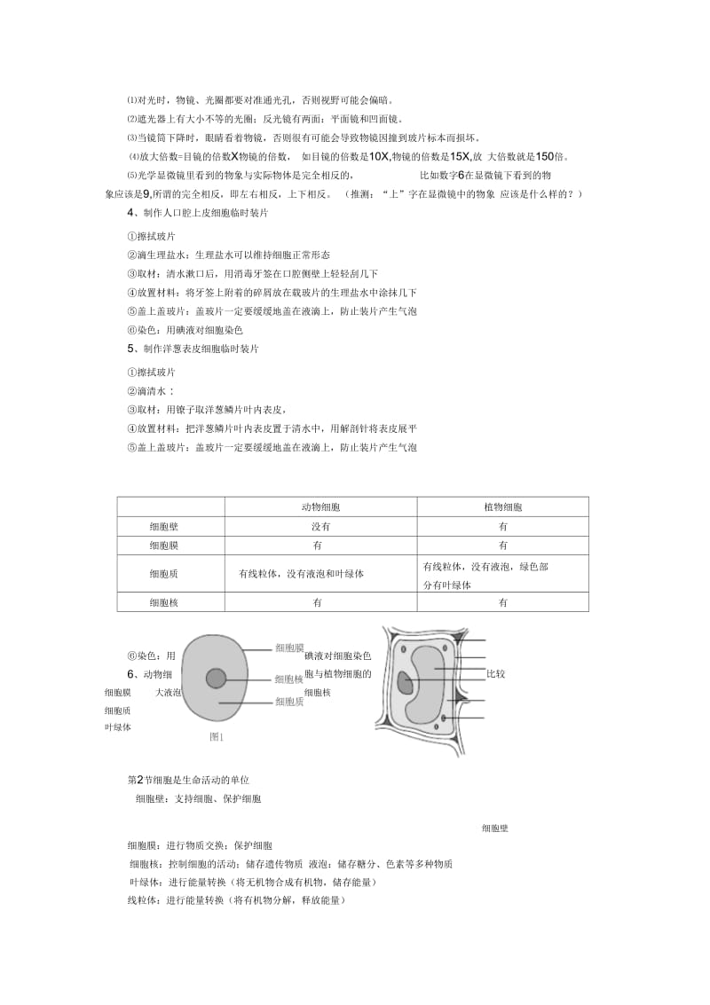 北师大版七年级上册生物复习提纲.docx_第2页