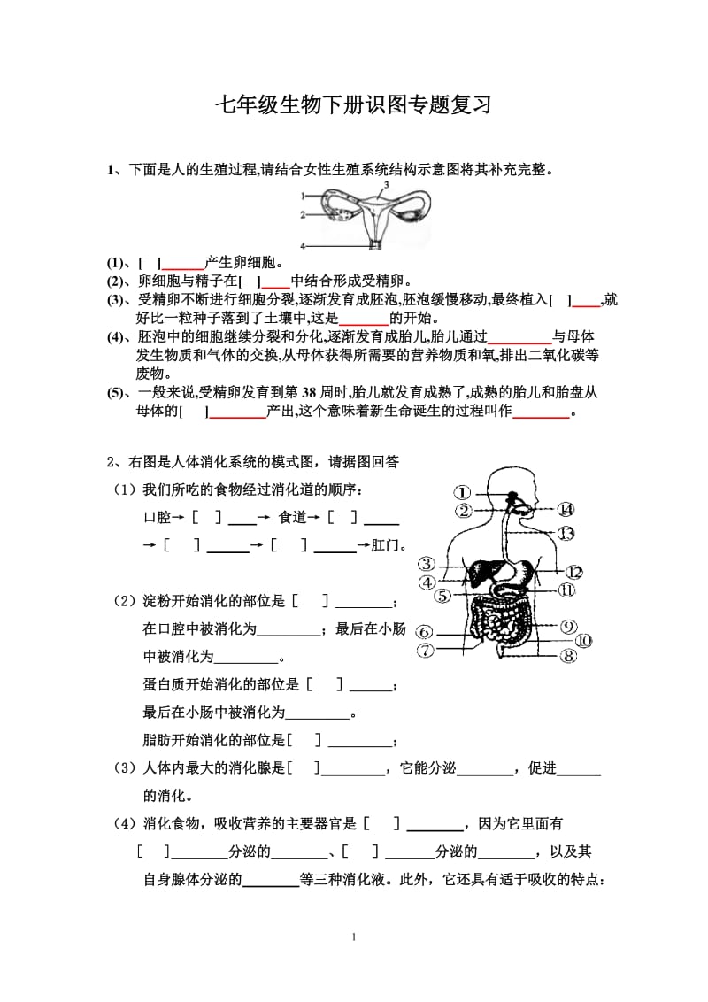 七年级生物下册识图专题复习.doc_第1页