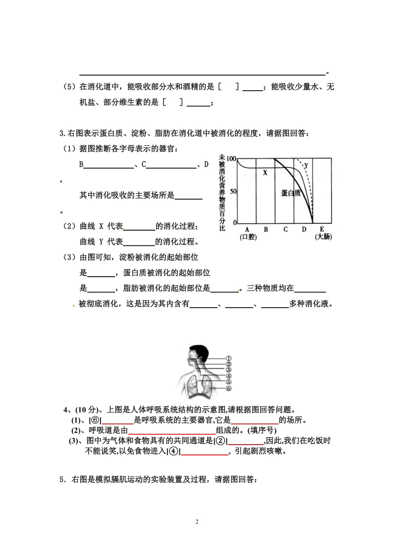 七年级生物下册识图专题复习.doc_第2页