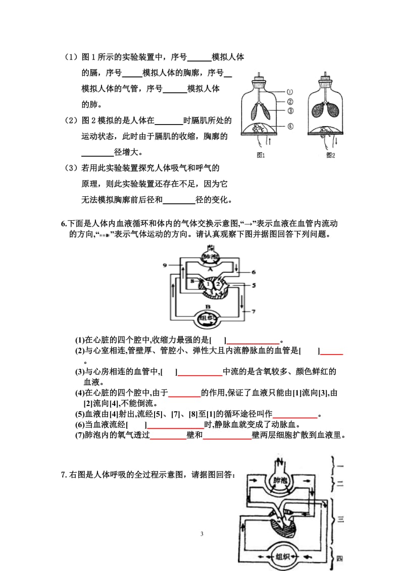 七年级生物下册识图专题复习.doc_第3页