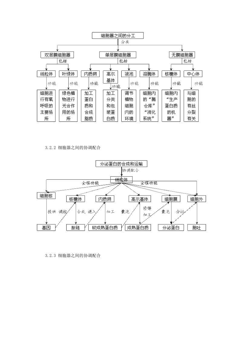 细胞的基本结构概念图.doc_第3页