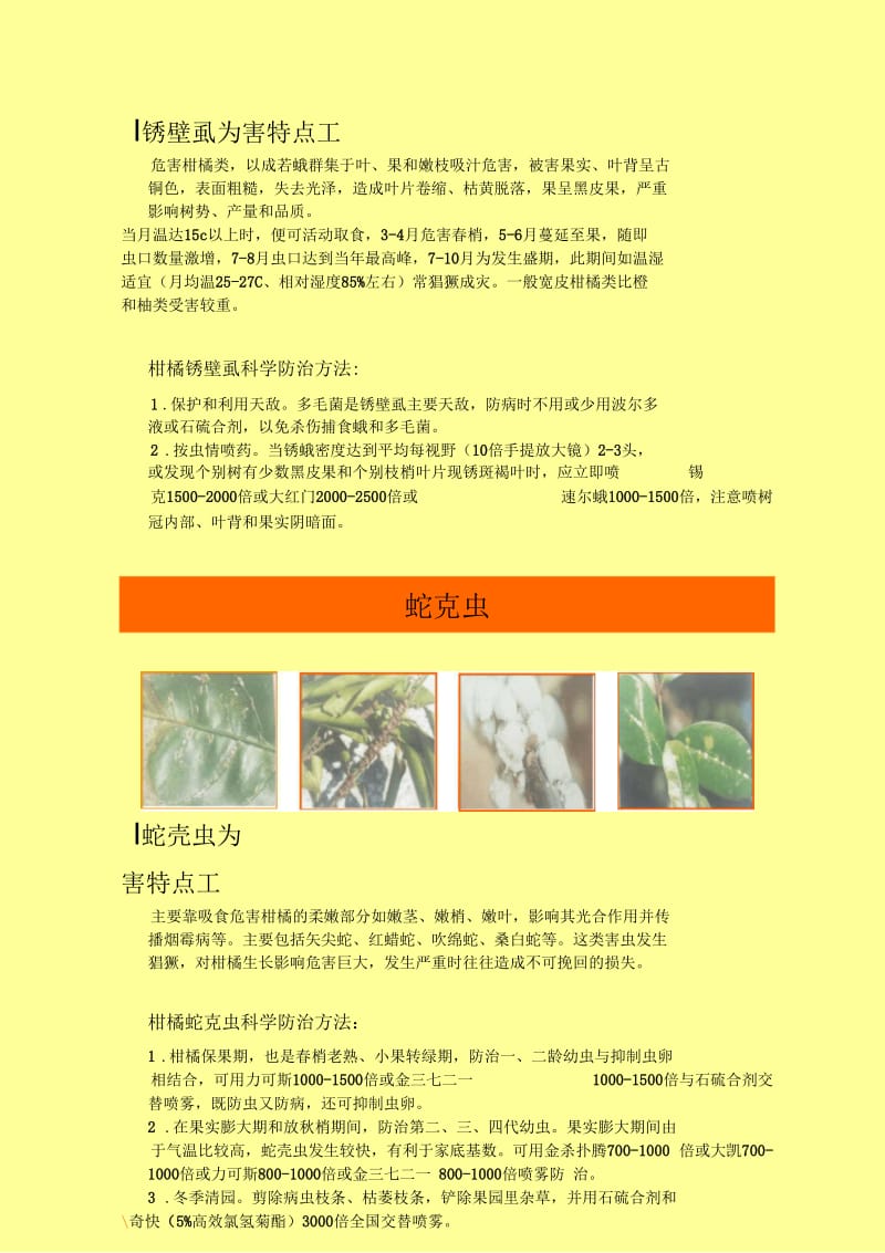 柑橘主要病虫害防治篇.docx_第2页