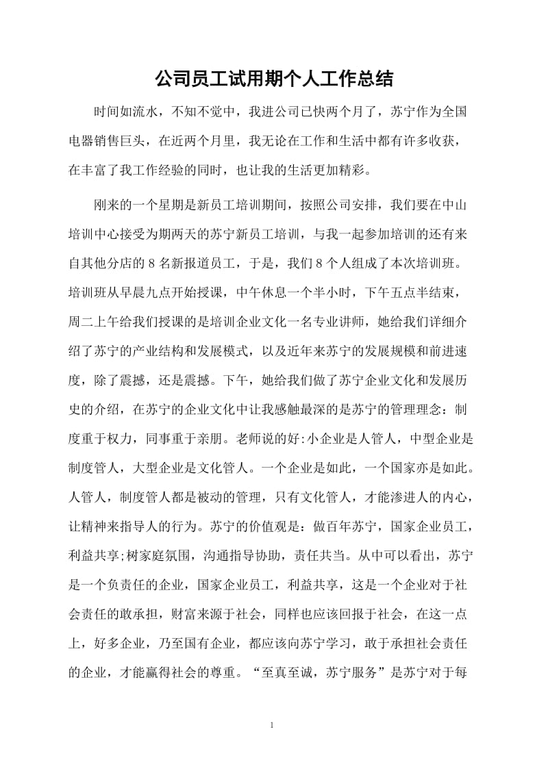 公司员工试用期个人工作总结.docx_第1页