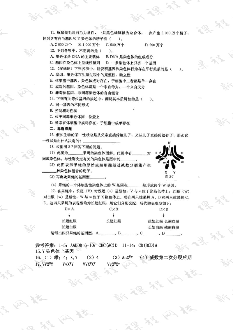 基因在染色体上练习.doc_第2页