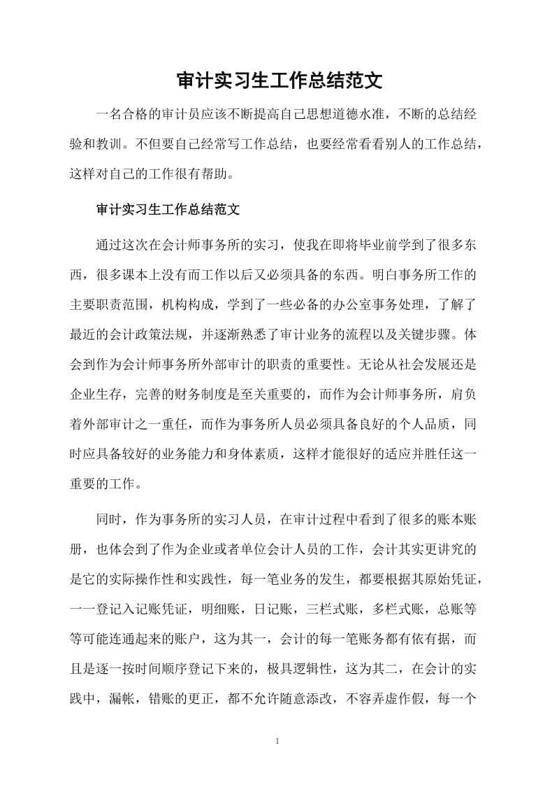 审计实习生工作总结范文.docx_第1页