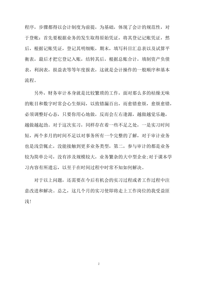 审计实习生工作总结范文.docx_第2页