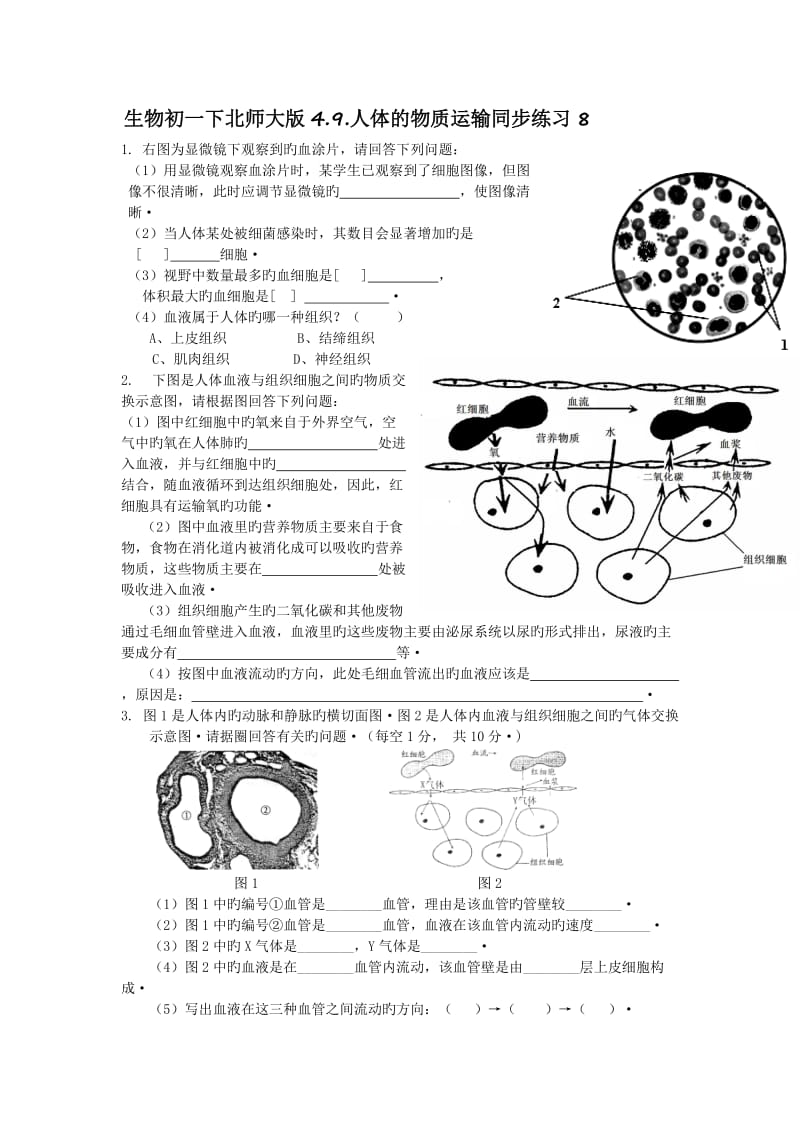 生物初一下北师大版4.9.人体的物质运输同步练习8.doc_第1页