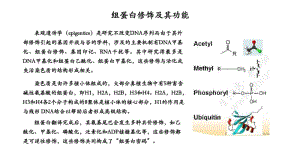 组蛋白修饰及其功能(乙酰化,甲基化,磷酸化等)-于凯.pdf