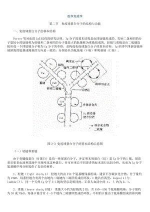 医学免疫学免疫球蛋白分子的结构与功能.doc