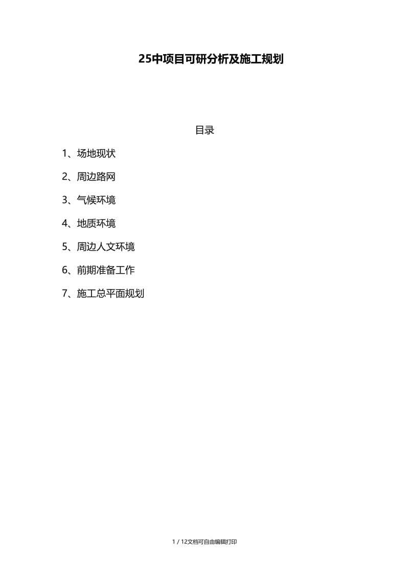 中项目可研分析及施工规划.doc_第1页