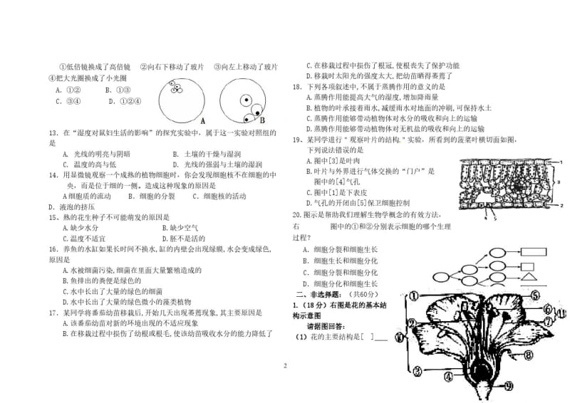 七年级生物上册第二次月考试卷及谜底.pdf_第2页