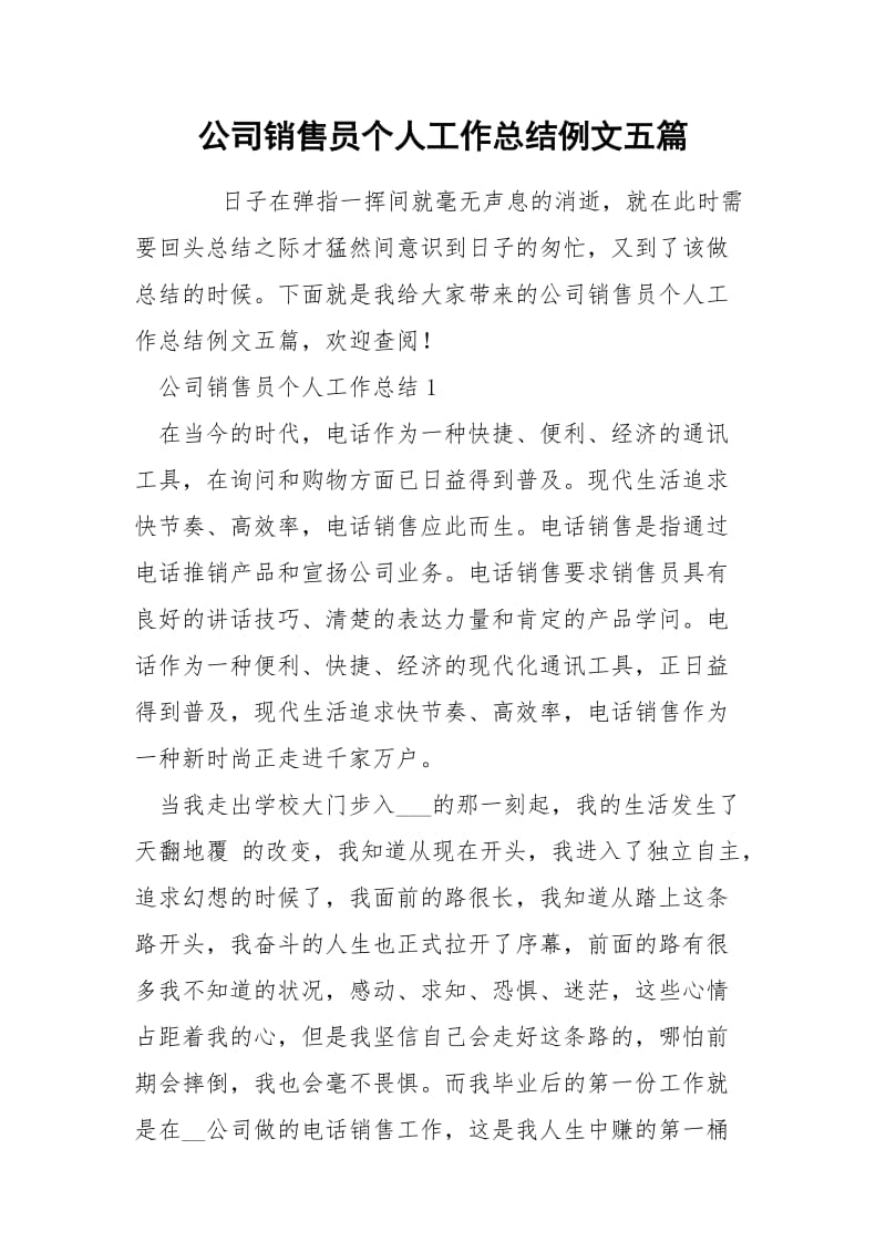 公司销售员个人工作总结例文五篇.docx_第1页