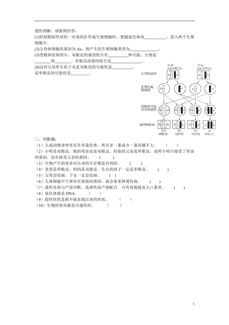 北师大版八上《第20章-生物的遗传和变异》word复习题.doc_第3页