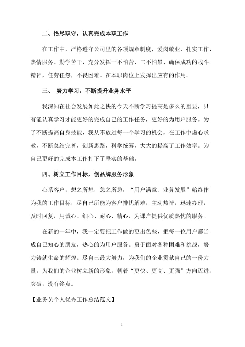 业务员个人优秀工作总结范文.docx_第2页