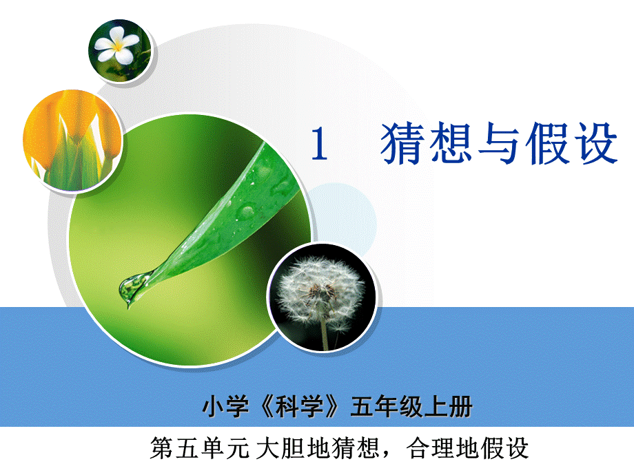 1_猜想与假设_教学课件.ppt_第1页