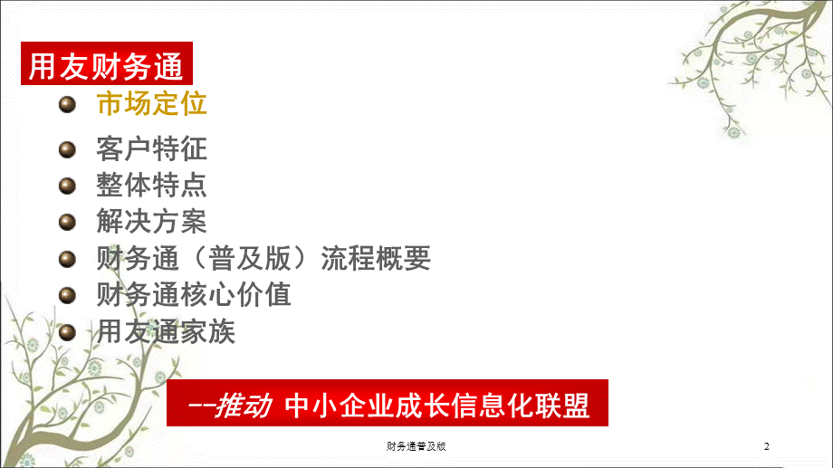 财务通普及版课件.ppt_第2页