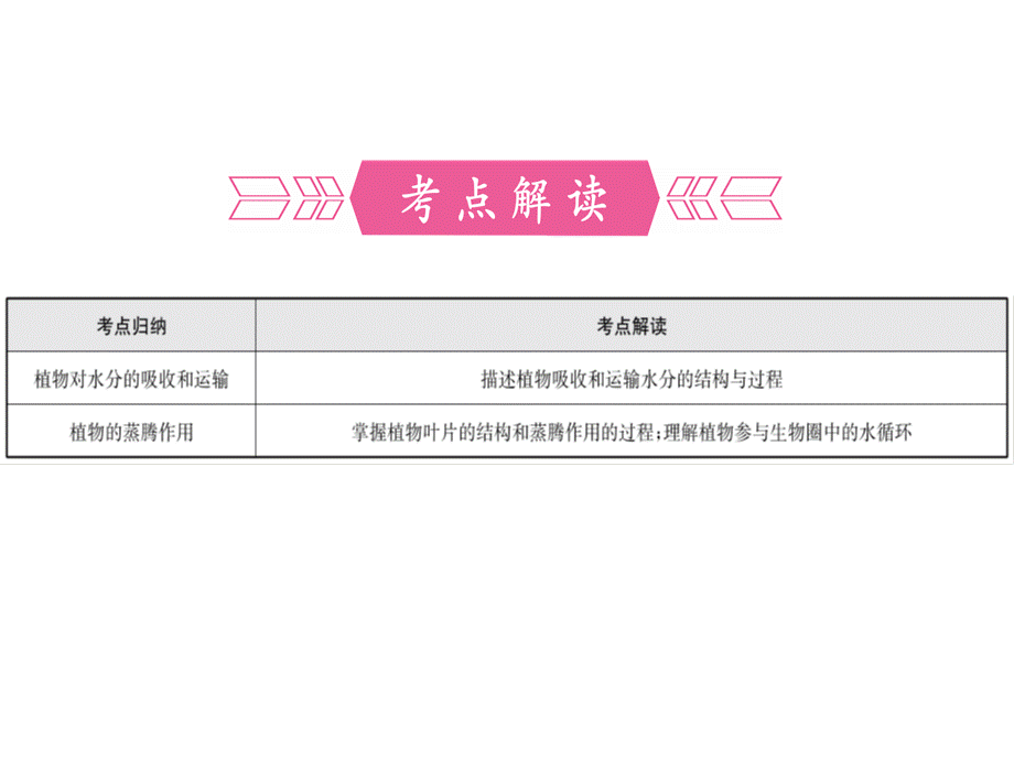 人教版七年级生物上册第三单元第三章 绿色植物与生物圈的水循环 复习课件.pptx_第2页