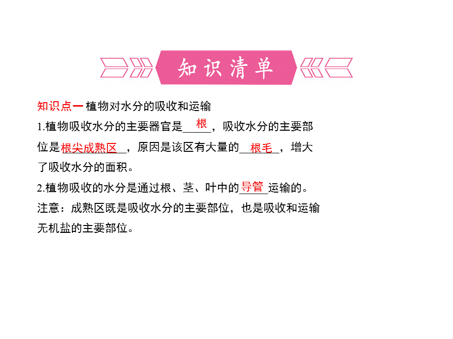 人教版七年级生物上册第三单元第三章 绿色植物与生物圈的水循环 复习课件.pptx_第3页