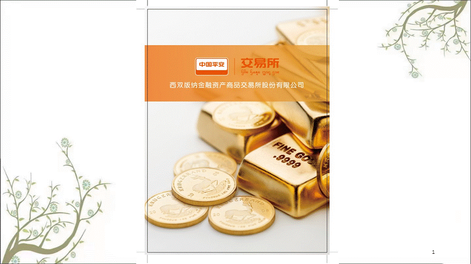 西双版纳金融资产交易所课件.ppt_第1页