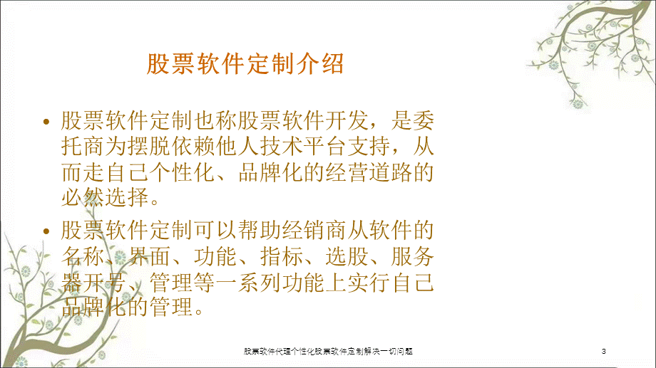 股票软件代理个性化股票软件定制解决一切问题课件.ppt_第3页