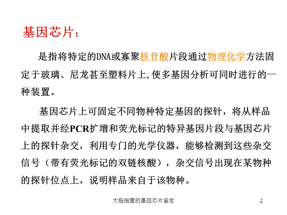 大肠细菌的基因芯片鉴定课件.ppt_第2页