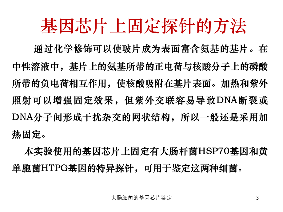 大肠细菌的基因芯片鉴定课件.ppt_第3页