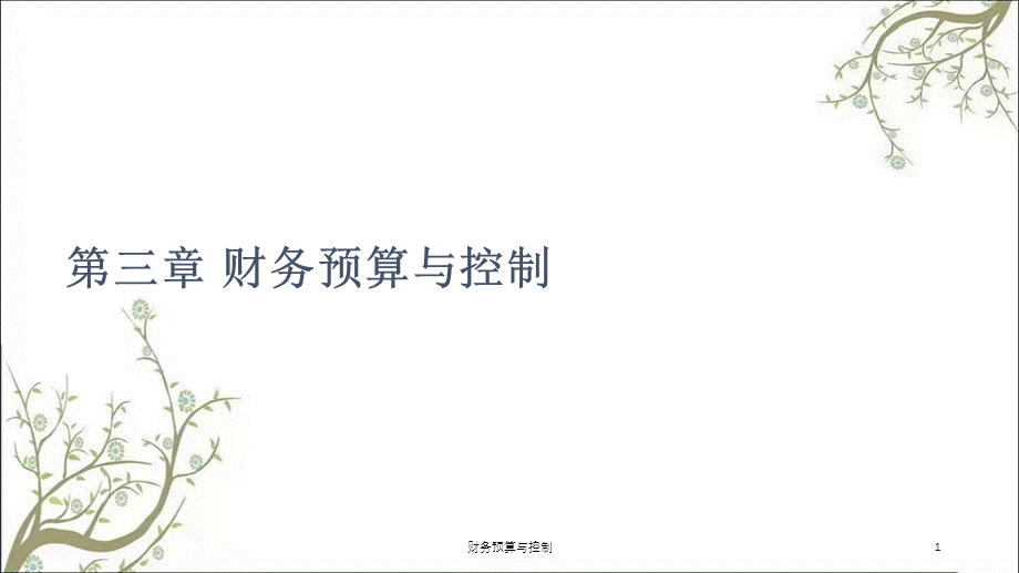 财务预算与控制课件.ppt_第1页