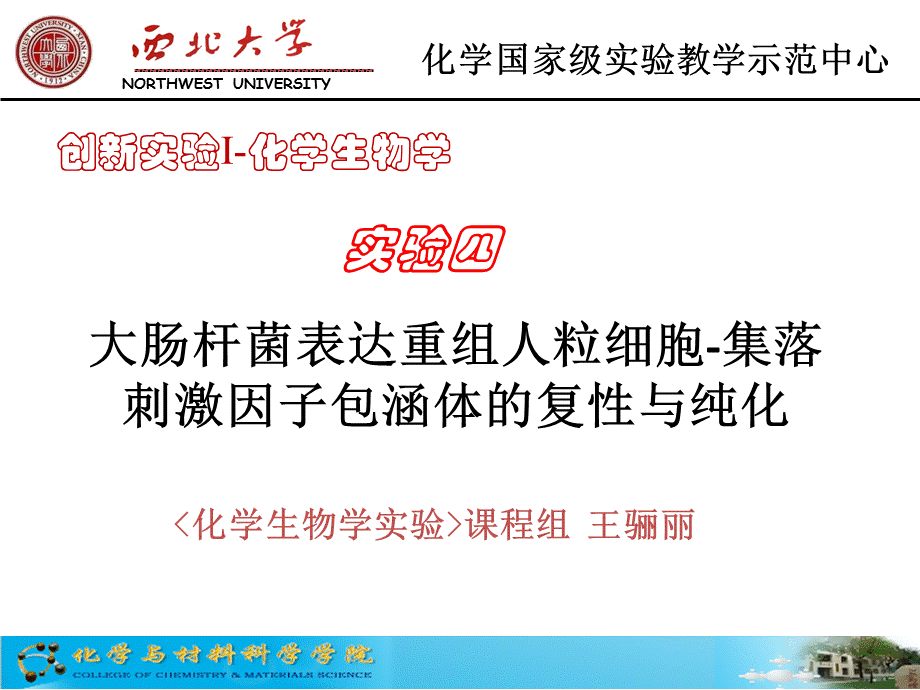 大肠杆菌表达重组人粒细胞-集落刺激因子包涵体的复性与纯化课件.ppt_第1页