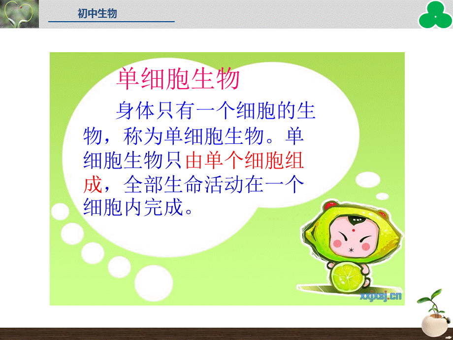 2015秋人教版七年级生物上册同步教学课件：第二单元第二章第四节单细胞生物（共23张PPT）.ppt_第2页