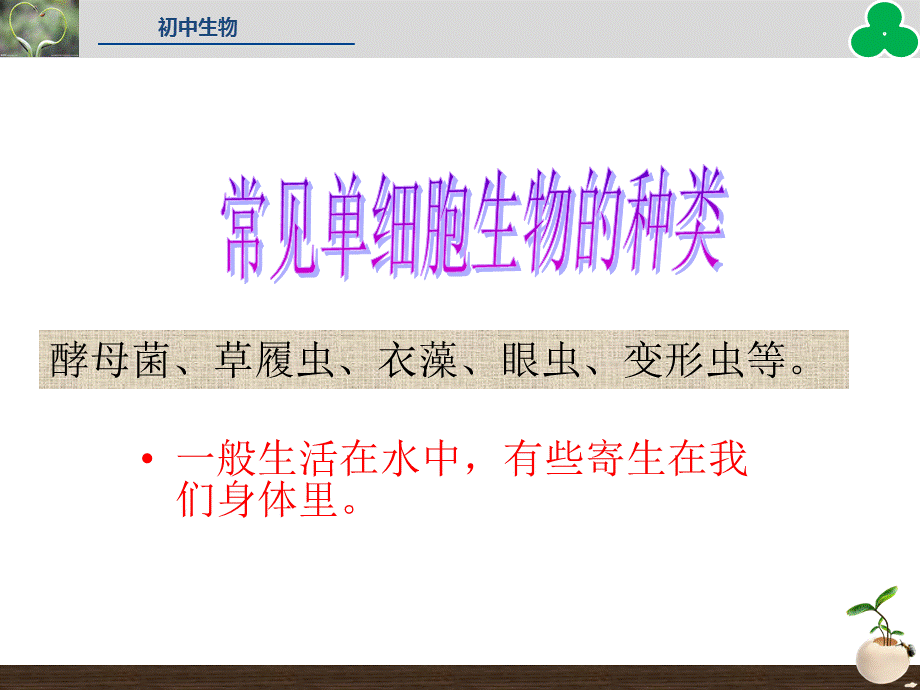 2015秋人教版七年级生物上册同步教学课件：第二单元第二章第四节单细胞生物（共23张PPT）.ppt_第3页