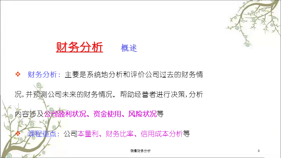 销售财务分析课件.ppt_第3页