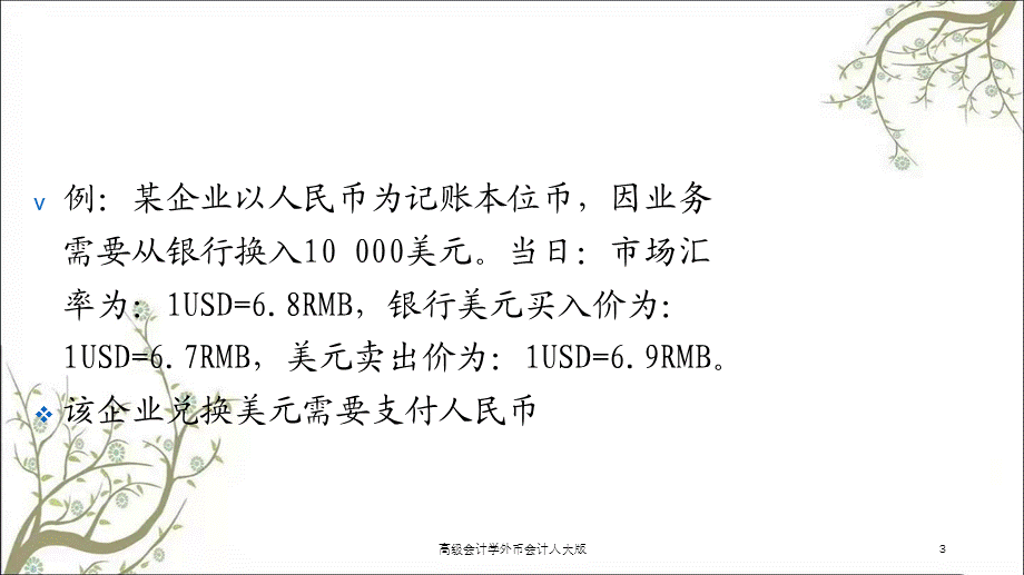 高级会计学外币会计人大版课件.ppt_第3页