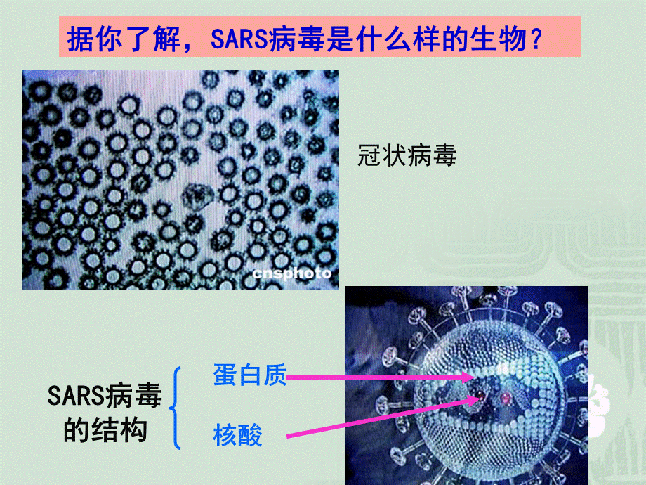 【生物】11从生物圈到细胞课件2（人教版必修1）.ppt_第3页