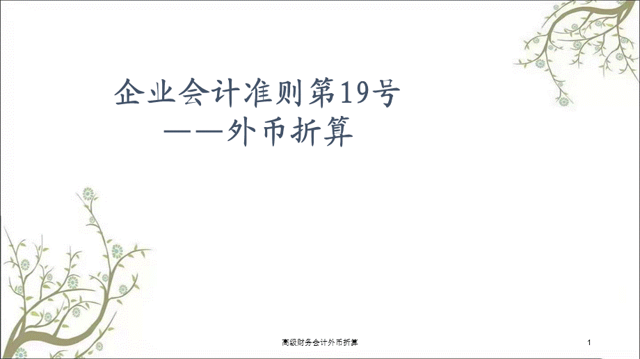 高级财务会计外币折算课件.ppt_第1页