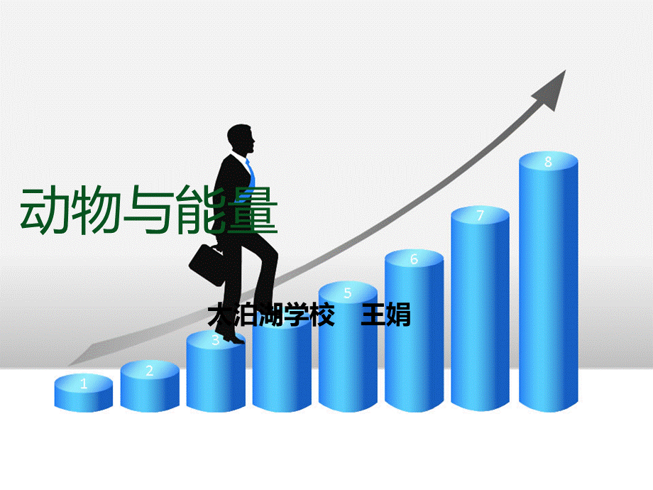 动物与能量fangan4.ppt_第1页