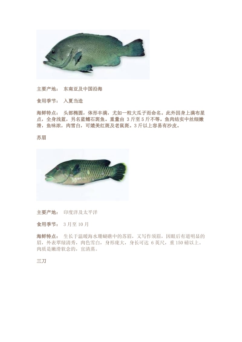 常见海鲜海鱼欣赏.doc_第2页