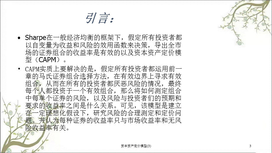 资本资产定价模型(3)课件.ppt_第3页