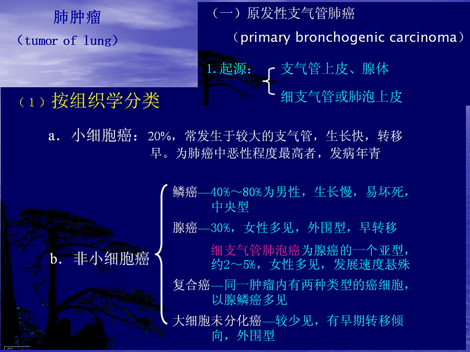 呼吸系统肿瘤x线诊断课件.ppt_第2页