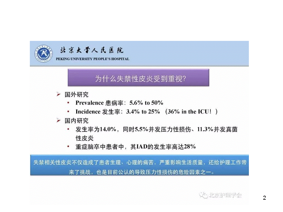 成人失禁相关性皮炎护理实践课件.ppt_第2页