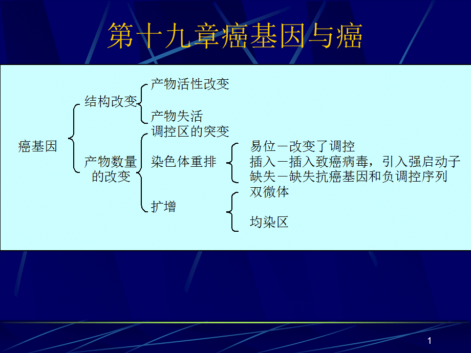 《基因与癌》演示PPT.ppt_第1页